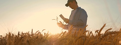 Agricultor cereal (1).jpg