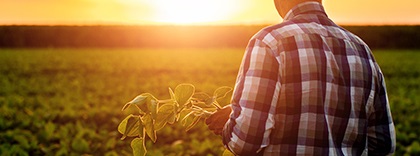 Agricultor.jpg