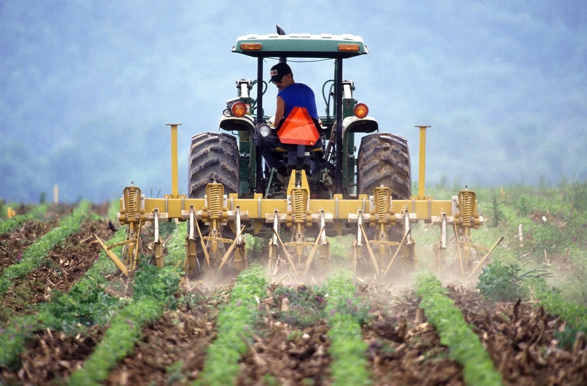 agricultor3.jpg