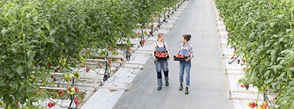 Agricultoras.jpg