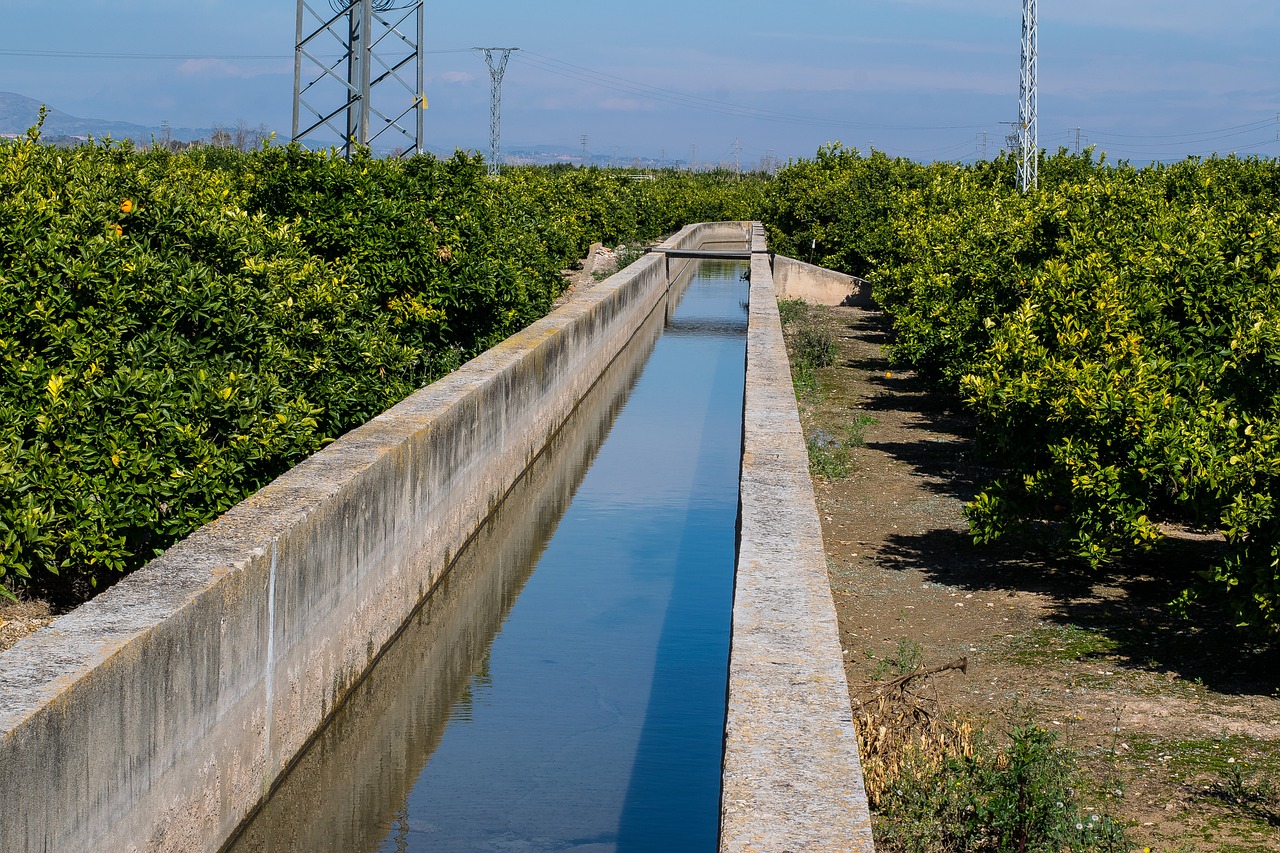 agua1 (11).jpg