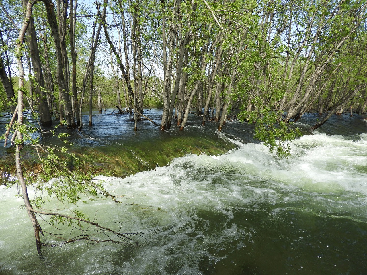 agua2.jpg