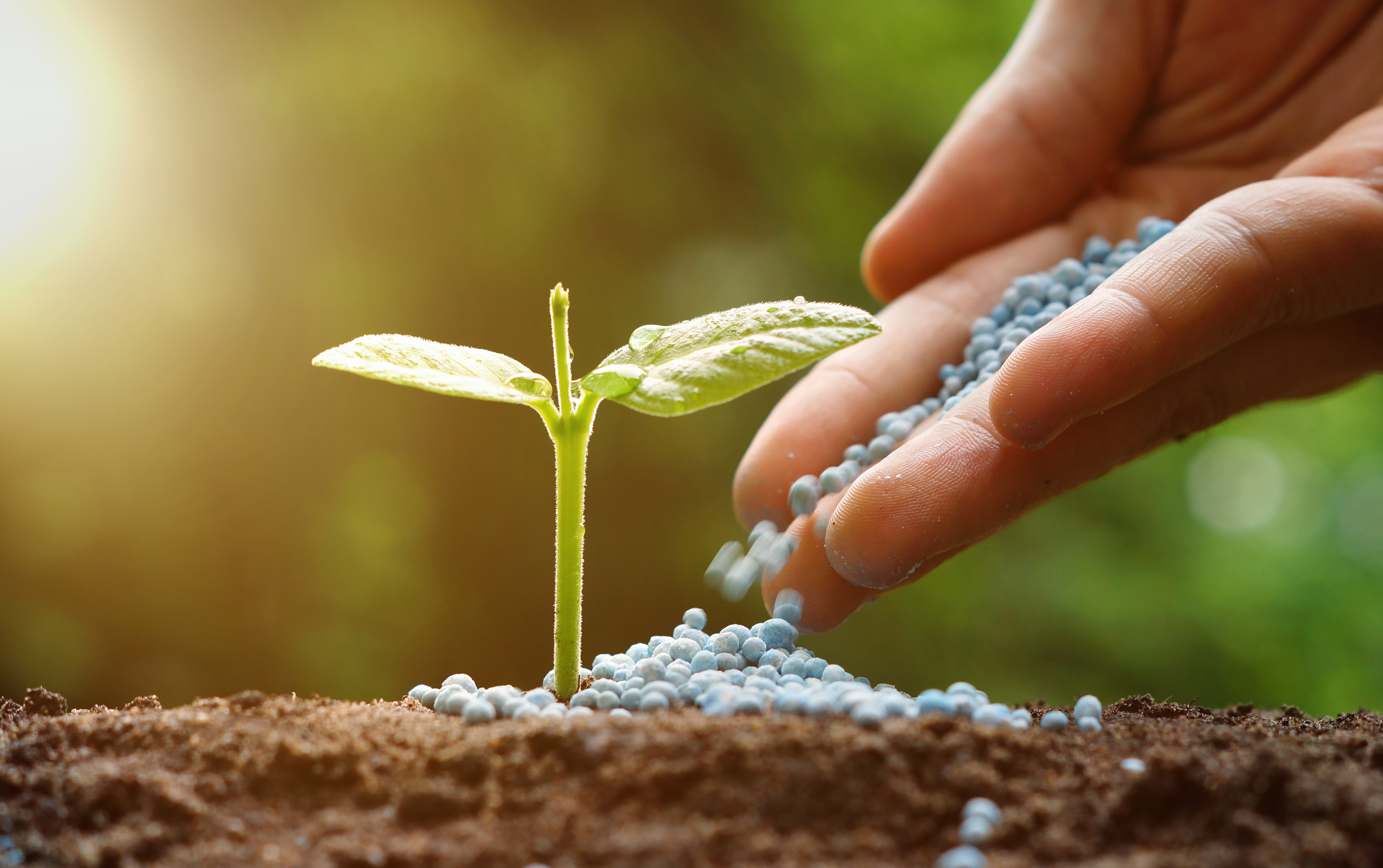 biofertilizantes.jpg