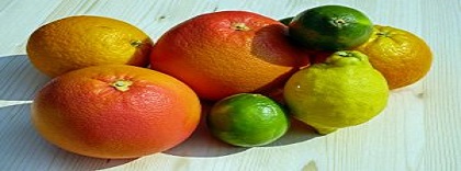 cítricos.jpg