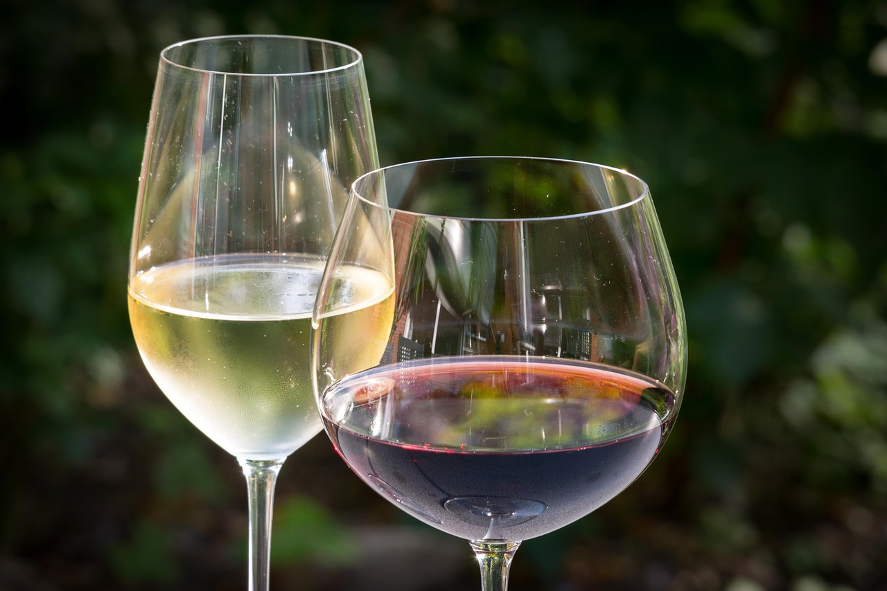 copas de vino (1).jpg