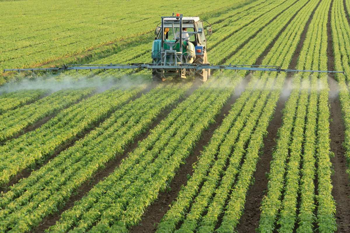 fertilizantes.jpg