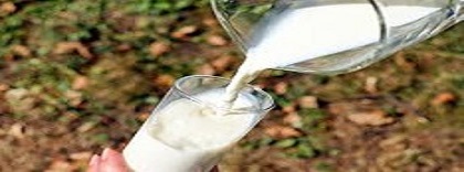 leche (1).jpg