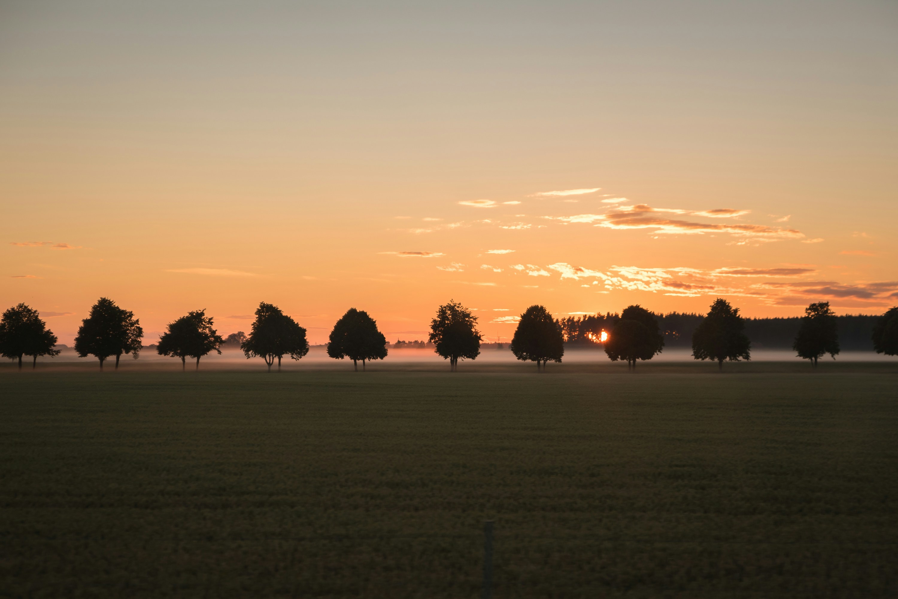 niels-weiss-rDVP7whoibw-unsplash.jpg