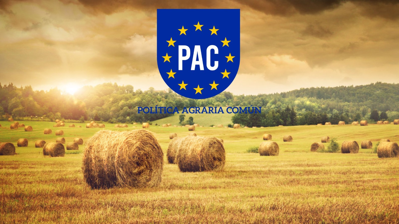 PAC-MAPAMA (2).jpeg