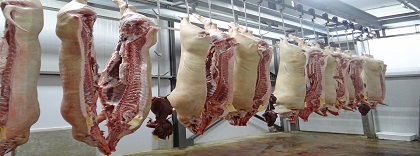 sacrificios (1).jpg